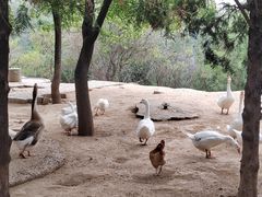 -森林公园(尖草坪区)