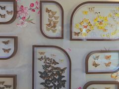-屈原故里文化旅游区
