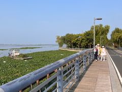 -阳澄湖半岛旅游度假区