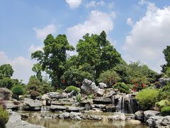 -东莞植物园