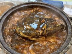 -海派美食·家宴海鲜青岛菜·石锅鲽鱼头(东方城店)