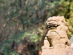 -宁波市保国寺古建筑博物馆