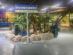 -海合安武汉极地海洋公园