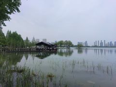 -渤公岛生态公园
