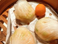 -点都德·毕德寮