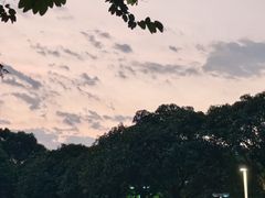 -东莞植物园