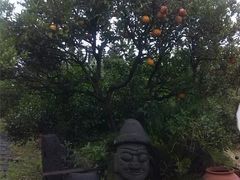 android_upload_pic-济州岛泰迪熊博物馆