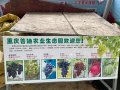 -普迪生态园