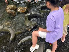 -成都市活水公园
