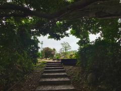 -蒲台岛