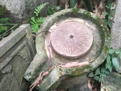 -老木棉·匠园