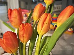 -盒马鲜生(亲橙里店)