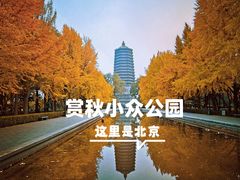 -玲珑塔公园