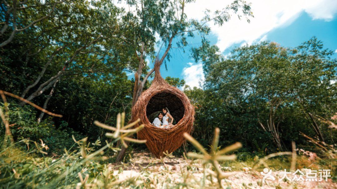 网红鸟巢来咯78美炸天