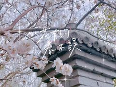 -桃花堤公园