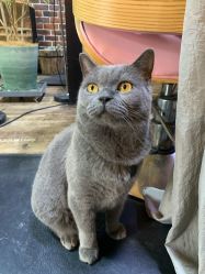 -青木造型HAIR·あおき髪を刈る潮人店