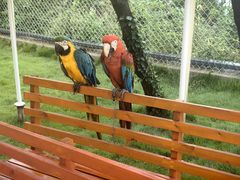 -西霞口神雕山野生动物世界