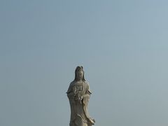 -黄金海岸