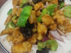 -邵年鸽(杨庄店)