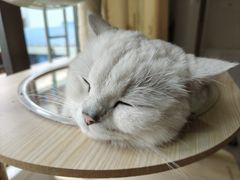 -番禺广场(市桥街道)