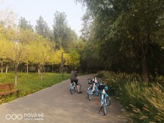 -东郊湿地公园
