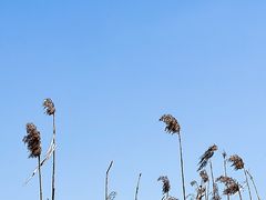 -梁鸿国家湿地公园