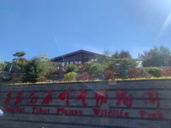 -青藏高原野生动物园