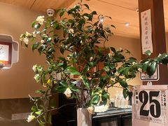 -希望日本料理(保利香槟花园店)