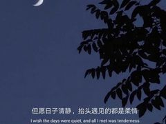 -佬肥猫(国华广场店)