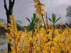 -东郊湿地公园