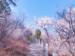 -北京凤凰岭