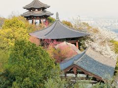 -杭州半山国家森林公园