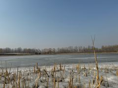 -东郊湿地公园
