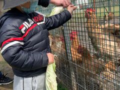 -前小桔亲子创意农场·草莓采摘·露营烧烤