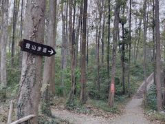 -青龙山国家森林公园