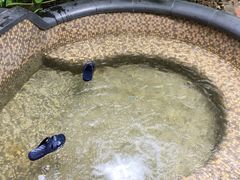 -三亚珠江南田温泉度假区