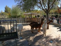 -鄂尔多斯野生动物园