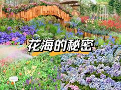 -苏州上方山国家森林公园