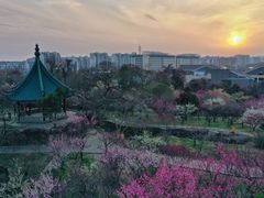 -无锡梅园公园