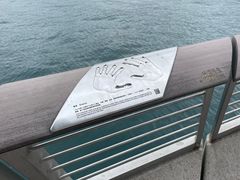 -星光大道