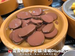 -龍歌自助小火锅(李沧丽达店)