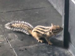 -柳莺湖上·湖景餐厅·江南菜(西湖店)