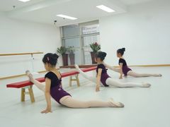 -小芳舞蹈团·少儿舞蹈·中国舞(龙江校区)