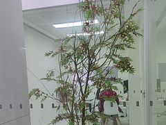-极简口腔(总院)