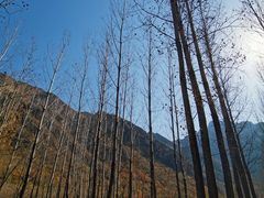 -百里山水画廊