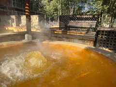 -春晖园度假酒店温泉