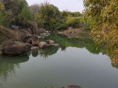 -艾溪湖湿地公园
