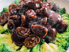 -隐山栖(鸿泰佳园店)