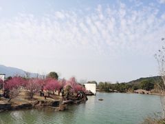 -炎帝陵景区