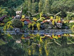 -杭州植物园